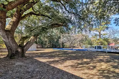 150 Timmerman Road, Swansea, SC 29160 - Photo 30