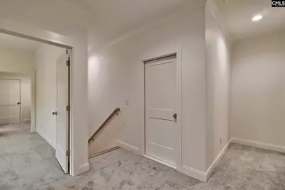 908 Salisbury Court, Chapin, SC 29036 - Photo 32