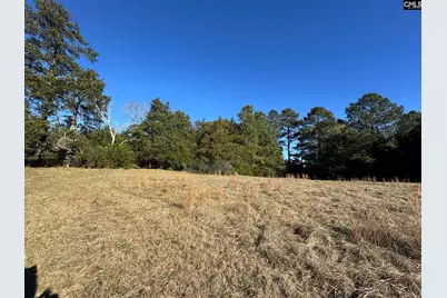Sc 215 Highway, Jenkinsville, SC 29065 - Photo 6