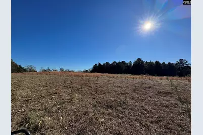 Sc 215 Highway, Jenkinsville, SC 29065 - Photo 12