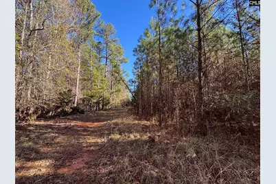 Sc 215 Highway, Jenkinsville, SC 29065 - Photo 24