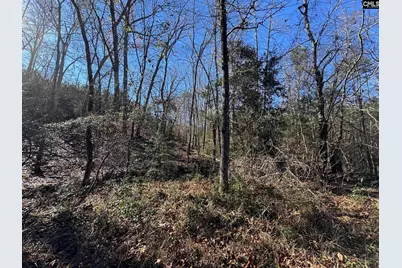 Sc 215 Highway, Jenkinsville, SC 29065 - Photo 32