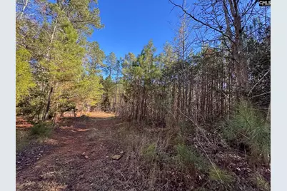 Sc 215 Highway, Jenkinsville, SC 29065 - Photo 28