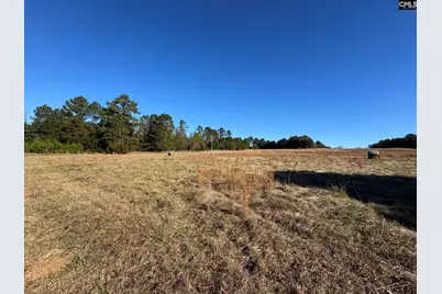 Sc 215 Highway, Jenkinsville, SC 29065 - Photo 4