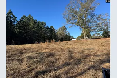 Sc 215 Highway, Jenkinsville, SC 29065 - Photo 14