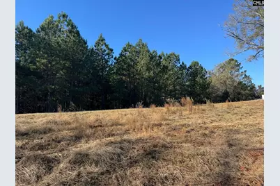 Sc 215 Highway, Jenkinsville, SC 29065 - Photo 10