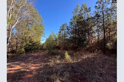 Sc 215 Highway, Jenkinsville, SC 29065 - Photo 30