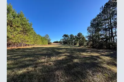 Sc 215 Highway, Jenkinsville, SC 29065 - Photo 1