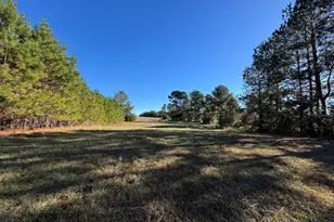 Sc 215 Hwy, Jenkinsville, SC 29065 - Photo 1