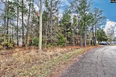 421 W Point Drive #58, Gilbert, SC 29054 - Photo 12