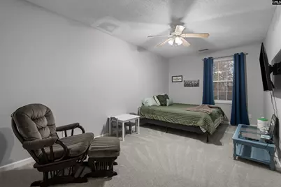 119 Stoney Pointe Drive, Chapin, SC 29036 - Photo 28