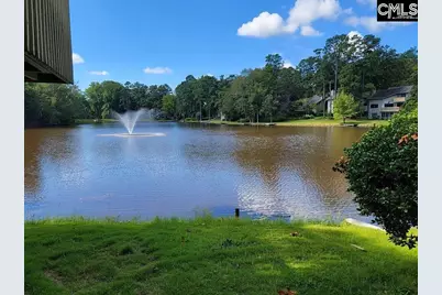 81 Ridge Lake Drive, Columbia, SC 29209 - Photo 28