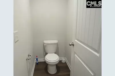 150 Druid Road, Lexington, SC 29072 - Photo 12