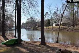 412 Lookover Pointe Dr, Chapin, SC 29036 - Photo 42