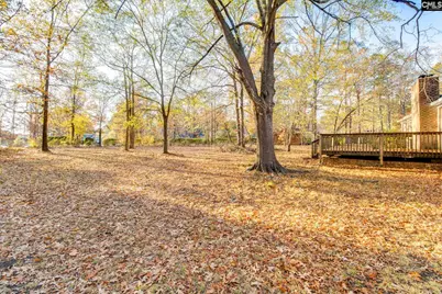 9 Tawny Branch Court, Columbia, SC 29212 - Photo 26