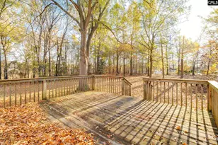 9 Tawny Branch Ct, Columbia, SC 29212 - Photo 24