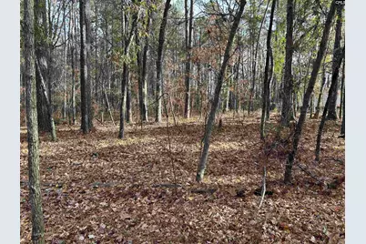 440 Paschal Road, Elgin, SC 29045 - Photo 22