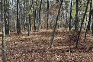 440 Paschal Rd, Elgin, SC 29045 - Photo 22