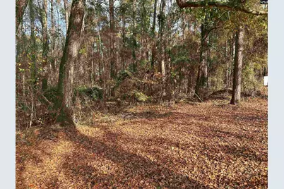 440 Paschal Road, Elgin, SC 29045 - Photo 6