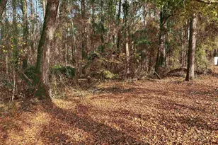 440 Paschal Rd, Elgin, SC 29045 - Photo 6