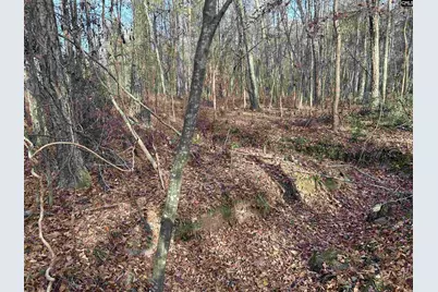 440 Paschal Road, Elgin, SC 29045 - Photo 20