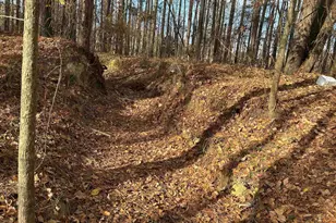 440 Paschal Rd, Elgin, SC 29045 - Photo 6