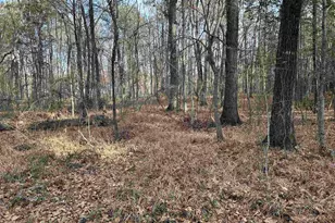 440 Paschal Rd, Elgin, SC 29045 - Photo 30