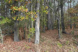 440 Paschal Rd, Elgin, SC 29045 - Photo 12