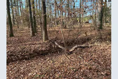 440 Paschal Road, Elgin, SC 29045 - Photo 16