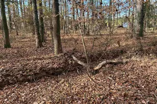 440 Paschal Rd, Elgin, SC 29045 - Photo 16