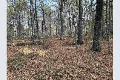 440 Paschal Road, Elgin, SC 29045 - Photo 14