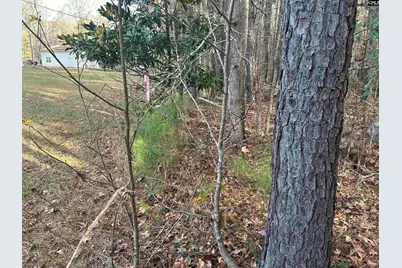 440 Paschal Road, Elgin, SC 29045 - Photo 18