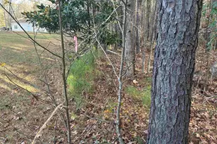 440 Paschal Rd, Elgin, SC 29045 - Photo 18