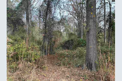 440 Paschal Road, Elgin, SC 29045 - Photo 14