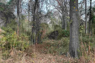 440 Paschal Rd, Elgin, SC 29045 - Photo 14