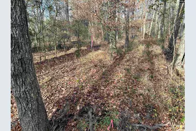 440 Paschal Road, Elgin, SC 29045 - Photo 18