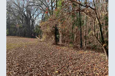 440 Paschal Road, Elgin, SC 29045 - Photo 20