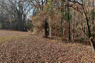 440 Paschal Rd, Elgin, SC 29045 - Photo 20