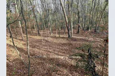 440 Paschal Road, Elgin, SC 29045 - Photo 4