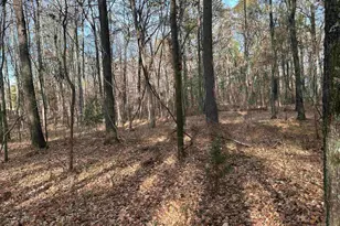 440 Paschal Rd, Elgin, SC 29045 - Photo 24