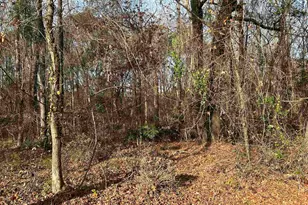 440 Paschal Rd, Elgin, SC 29045 - Photo 22