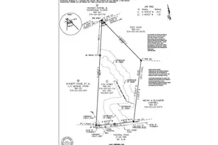 440 Paschal Rd, Elgin, SC 29045 - Photo 8