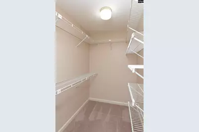 217 Timberlake Drive, Chapin, SC 29036 - Photo 28