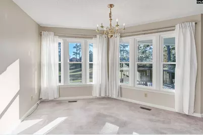 217 Timberlake Drive, Chapin, SC 29036 - Photo 8