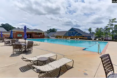 217 Timberlake Drive, Chapin, SC 29036 - Photo 70