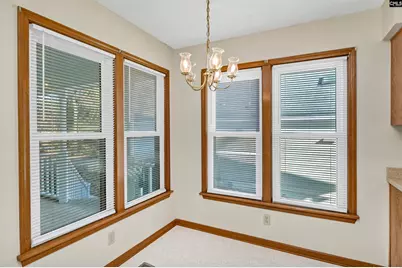 217 Timberlake Drive, Chapin, SC 29036 - Photo 14