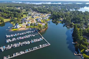 217 Timberlake Dr, Chapin, SC 29036 - Photo 66