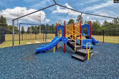 112 Verano Court, Lexington, SC 29073 - Photo 28