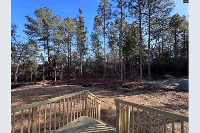 779 Thor Road, Pelion, SC 29123 - Photo 6