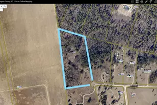 301 Renew Ct Rd, Gaston, SC 29053 - Photo 2